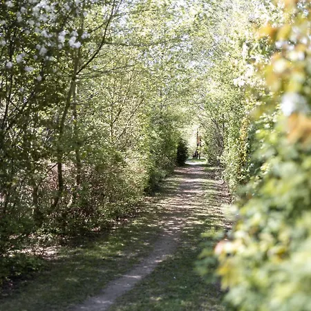 Strandnahe Mit Privatweg, Spielplatz & Aufzug Lejlighed *